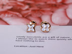 Aura STAR AND SUN PINK GOLD MOP STUD EARRINGS