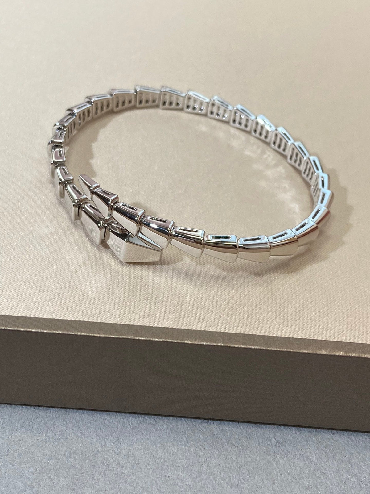 [⭐DORISW]SERPENTI VIPER SILVER BRACELET